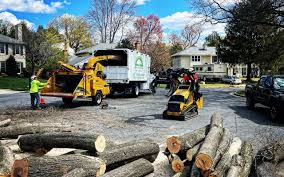 Best Firewood Processing and Delivery  in West Cape May, NJ