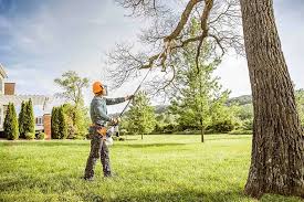 Lawn Drainage Solutions in West Cape May, NJ