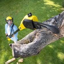 Mulching Services in West Cape May, NJ